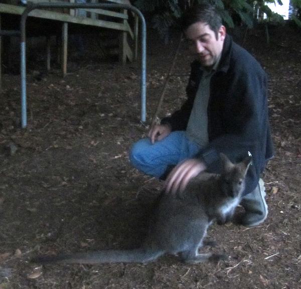 Wallaby.and.me